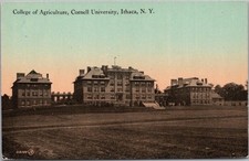 c1910s CORNELL UNIVERSITY Ithaca, New York Postcard