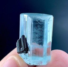 52 Carat Aquamarine Crystal With Black Tourmaline Specimen From Pakistan picture