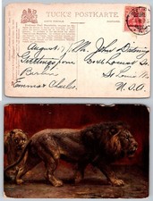 Standard Lions Painting Professor Paul Meyerheim Berlin Germany Postcard picture