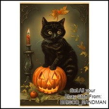 Fridge Fun Refrigerator Magnet HALLOWEEN Vintage Black Cat with Pumpkin Retro picture