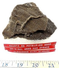Exceptional Quartz druzy on Petrified wood Alabama Alexander city spruce Flat 9 picture