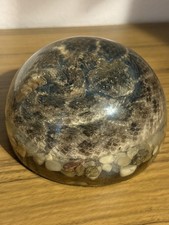 Real Diamondback Rattlesnake Vintage Resin Lucite Taxidermy Science Oddity 5”dia picture