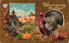 Thanksgiving Greetings Embossed Harvest Turkey Postcard Posted picture