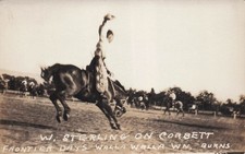 RPPC Walla Walla Frontier Days Rodeo Cowboy Corbett Horse Photo Vtg Postcard 4A picture