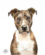 ❦ ORIGINAL Oil Dog Portrait Painting AMERICAN PIT BULL TERRIER Artist Signed Art picture