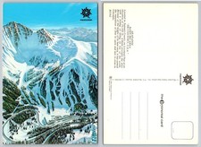 Continental Arapahoe Basin Ski Area Loveland Pass Colorado Mountain Postcard picture