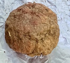 Pinkish 1.5lb 9” Diameter Geode As Found-Opened MonroeCo-Indiana picture