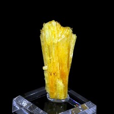 Absolutely Superb Legrandite Crystal Cluster - Ojuela Mine, Mexico picture