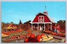Woodcliff Lake New Jersey Van Riper's Farms Inc Chestnut Ridge Road Postcard NJ picture