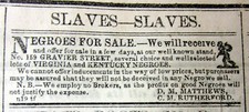 1854 New Orleans pre-Civil War newspaper w Illustrated NEGR0 SLAVES FOR SALE ad picture