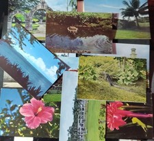Vtg 1950s GUAM Postcards Lot of 11 Victor Olsen South Seas Trading Co Curteich picture