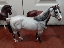Peter Stone Ideal Stock Horse ISH Appaloosa Light Gray  picture