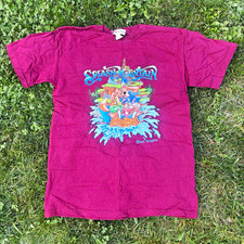 Walt Disney World Splash Mountain Magic Kingdom T Shirt Burgundy 90s vintage picture