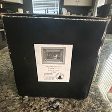 Disney Gallery of Light Tinker Bell Pixie's Fury Light-Up Shadow Box COA 2000 picture