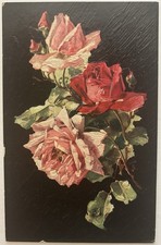 Vintage Tuck’s Floral Postcard - Beautiful Pink & Red Roses on Dark Background picture