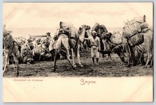 Postcard Smyrne Izmir Turkey Campement de chameaux Camel Caravan picture