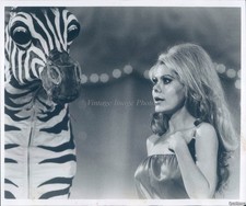 1977 Los Angeles Charo Xavier Cugat Celebrity Cookbook Historic Press Photo 8x10 picture