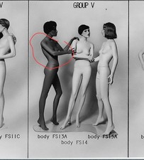 Greneker Wolf&Vine Right Arm @ Free Spirit Collection Vintage  Mannequin Female picture