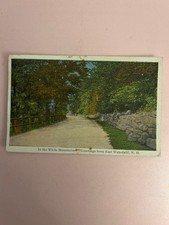 1918 white mountains, greetings from east Wakefield NH picture