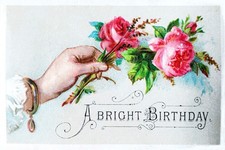 1880s Trade Card Reproduction Advertisement Victorian Illustration Pink Roses picture