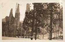 c1935 RPPC - The Valley Of The Giants - Needles Drive - South Dakota ~#-10249 picture