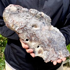 2.36LB Crazy Lace Agate Polished Slice Natural Raw Mineral Specimen Crystal Home picture