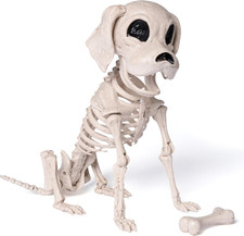 Posable Halloween Dog Skeleton Full Body Posable Joints Realistic Skeleton Puppy picture