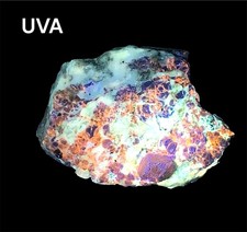 310g. Top Quality Blue Hauyne Crystal Specimen with Fluorescent Phlogopite - AFG picture