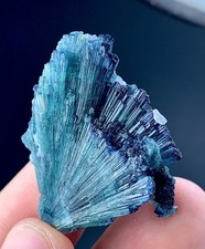 78Cts Indicolite  Tourmaline Crystals Bunch With Specimen From Afghanistan.  picture