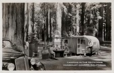 c1940s Airstream-type Trailer Camping Redwoods CA Humboldt County RPPC COPY picture