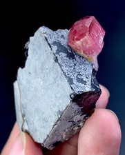 Pink Tourmaline Crystal With Quartz From Afghanistan 235 Carat picture