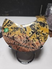 Chunky, Beautiful Rainbow Picture Jasper Moon with stand G76 picture