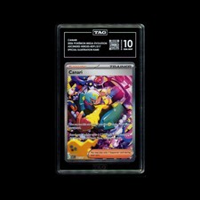 066 Canari 291 Special Illustration Rare Ascended Heroes Pokemon TAG  10 picture
