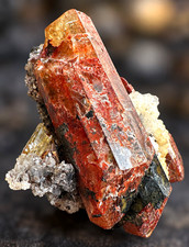 Cerro de Mercado Fluorapatite Crystal Cluster Durango Mexico 70g Apatite picture