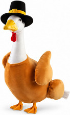 Thanksgiving Turkey Porch Goose Outfits for 23