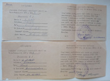 Duplicate certificate participant liquidation Chernobyl USSR picture