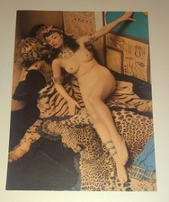 Vintage 1950s Lili St Cyr Pinup Photo Art Cleopatra Couch Desert Gown Layout Set picture