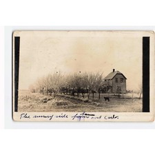 Vintage 1914 RPPC Sunny Side Farm Carlo Dog Farmhouse Pace Oklahoma Postcard picture