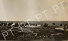 1920s PHOTO - France Versailles - Flower Gardens Original Snapshot picture