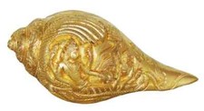 Pooja Shankha Shankh Conch Shell Hindu Divine Worship Home Temple 8 inch picture