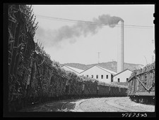 Photo:Ensenada Puerto Rico 1942 South Puerto Rico Sugar Co Sugar Cane Cars picture