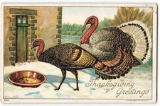 Thanksgiving Greetings two turkeys in a snowy barnyard scene VTG Postcard CG2. picture