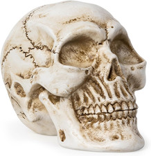 Resin Skull Statue, Human Head Model for Home Decoration, Halloween Statue, Skul picture