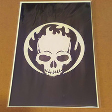 Ghost Rider/Wolverine: Weapons of Vengeance #1 1:200 Ratio Virgin Variant RARE picture