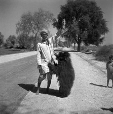 Gypsy Indian bear leader Surroundings of Agra March 1961 Old Photo picture