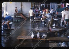 sl75 Original slide 1984  Hawaii  fish market at dock 661a picture