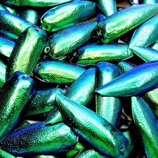 DRILLED lot of 100 pieces green blue beetle elytra shells wings picture