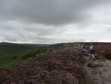 Photo A2 Dull day, bright heather Ringinglow On Burbage Rocks, heading n c2011 picture