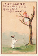 Antique Allen & Ginters Sweet Sun Cured Sunny South Cigarettes Trade Card picture