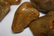 Natural Raw Crowley's Ridge Agate Memphis Tennessee Unique Sharp Bands picture
